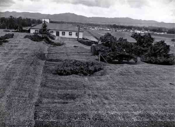 Camouflaged Aircraft Factory during World War II