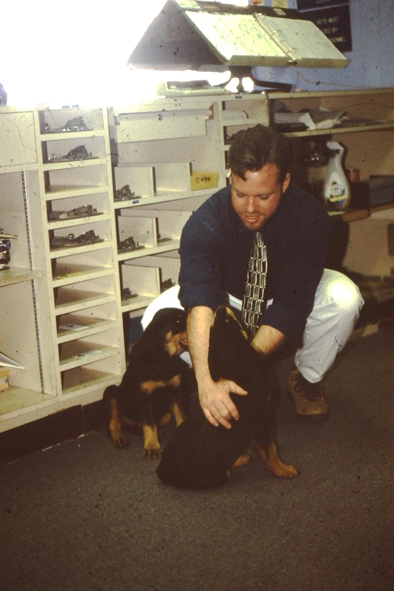 Air West Flying Club Instructor with two Rotweiler pups, March 1997