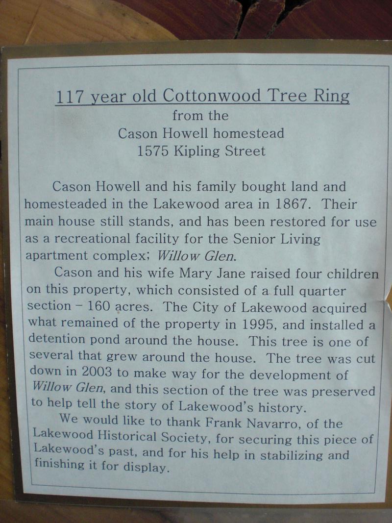 Lakewood, Colorado 117 Year Old Cotton Wood Tree